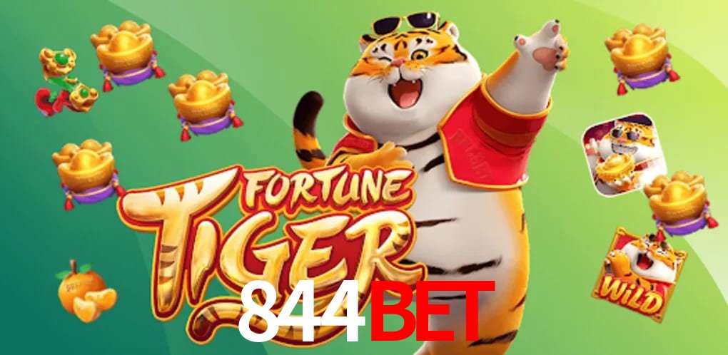 Experiência VIP 844bet